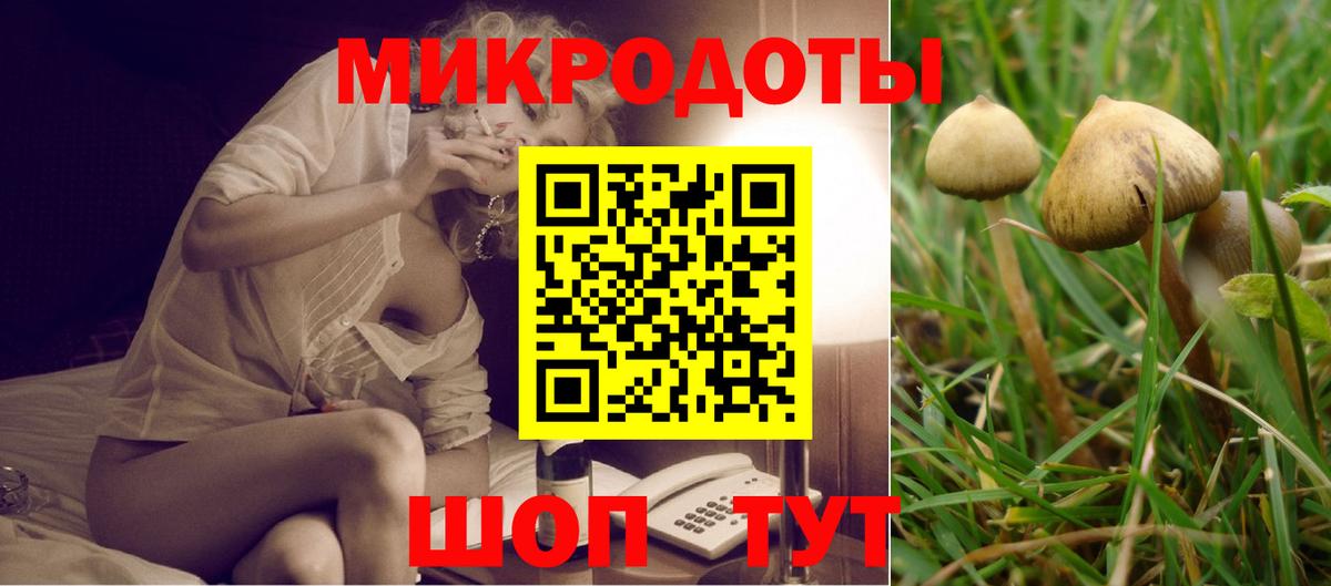 Псилоцибиновые грибы прущие грибы Владимир